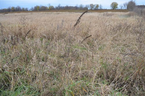 Property photo 12 - 80 Acres & Home - Property Offered in 4 Tracts from 2.3 to 30.0 Acres